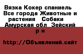 Вязка Кокер спаниель - Все города Животные и растения » Собаки   . Амурская обл.,Зейский р-н